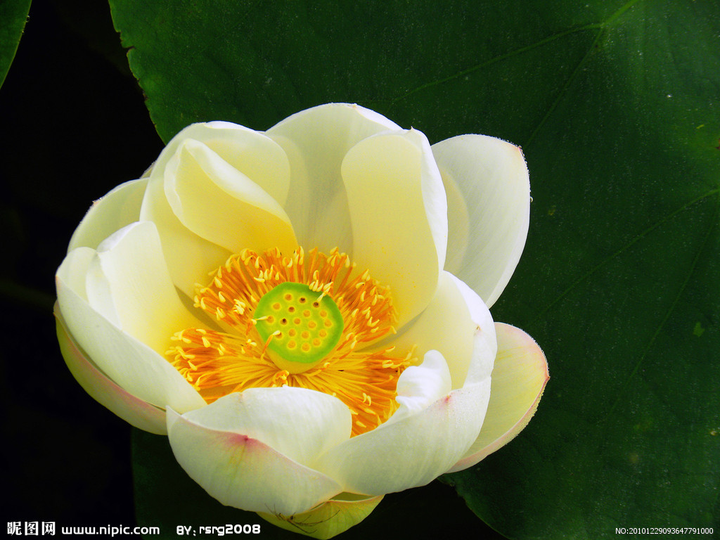 写关于银行服务,营销,团队的演讲稿