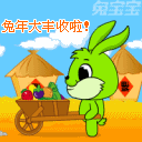 设计兔宝宝qq表情10个-动画表情-猪八戒网