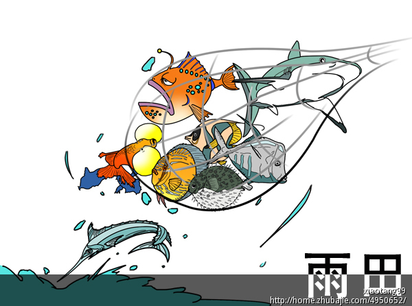 画一个漏网之鱼的插图-插画设计-猪八戒网