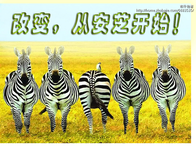 征集 安芝 品牌,专利电子新产品广告语