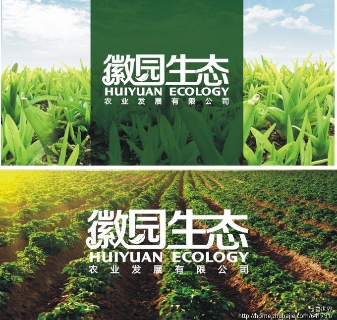 安徽徽园生态农业发展有限公司LOGO及VI设计