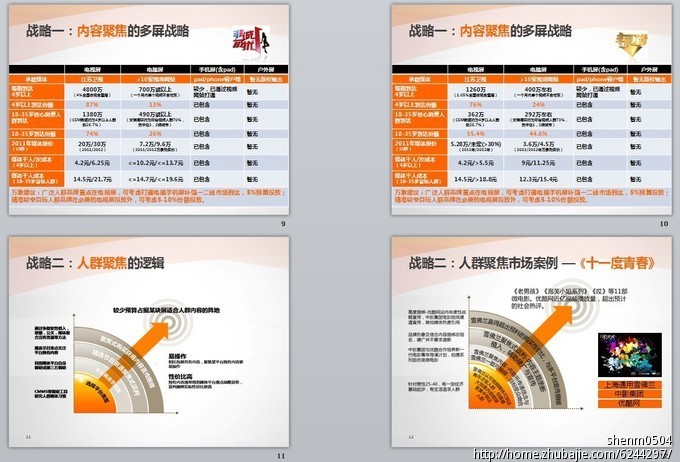 求专业的正规的商业计划书和网络营销策划书模