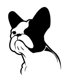 斗牛犬为元素服装品牌LOGO设计