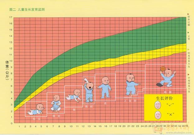 10-18岁男生、<em>女生</em>体重<em>身高</em>发育图 - DM单页设