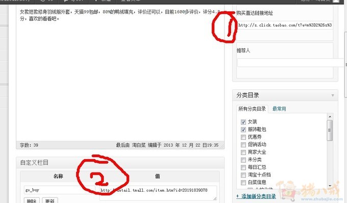 WORDPRESS 淘客主题 小修改 - 其他网站开发