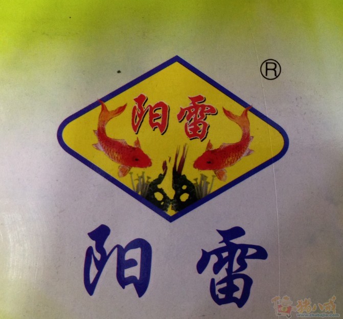 <em>阳雷</em>Logo设计 - LOGO设计 - LOGO/VI设计 - 猪