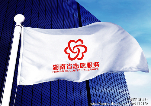 湖南省志愿服务 标识征集Logo设计加VI基础应