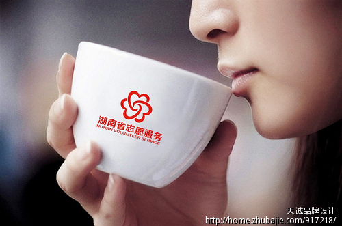 湖南省志愿服务 标识征集Logo设计加VI基础应