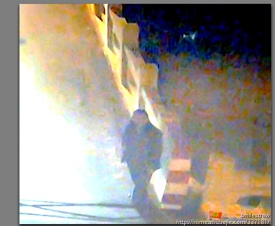 <em>还原</em>一张<em>模糊</em>的<em>照片</em>_smilestraw_58453090_猪