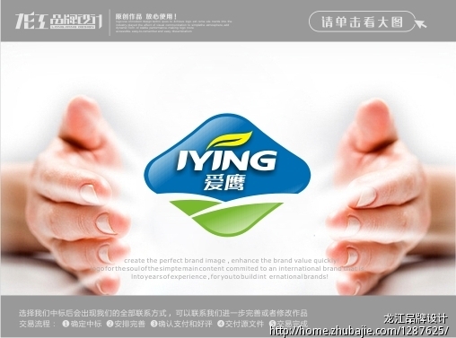 爱鹰Logo设计_龙江品牌设计_58526345