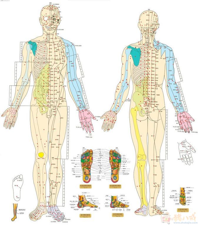 标准<em>比例</em>简单<em>男女</em>人体3D模型构建 - 3D模型设