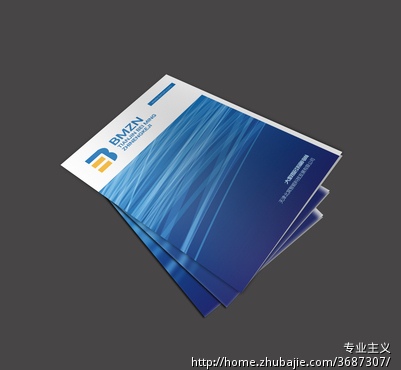 公司宣传册,it业,大数据抓取 - 宣传册设计