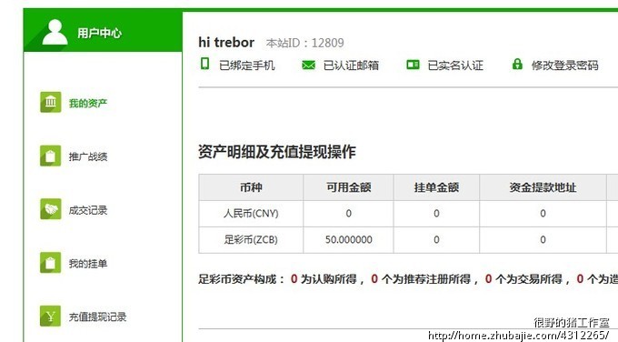 认购币,虚拟币网站注册_很野的猪工作室_624