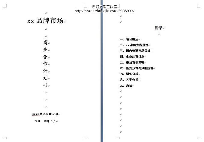 某新品牌啤酒合作开发策划书_鄢陵文案工作室