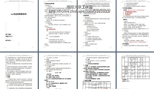 某饮料新品上市推广方案 - 促销策划 - 方案策划