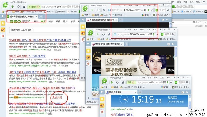 63966618号交稿-任务:26日 9 双双金鹧鸪