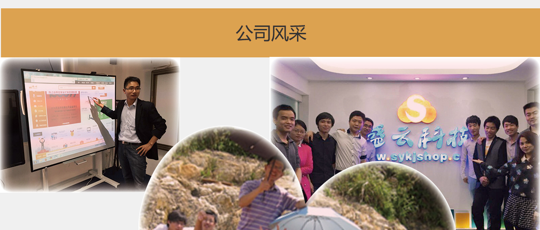 【盛云科技】多商家电商网站建设