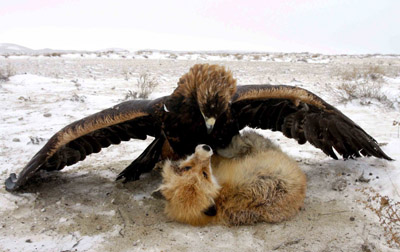 帮到百度找1张能够表达短文意思图片10元一张