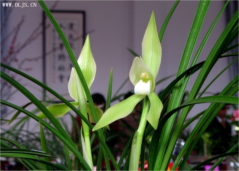 稿件点评: 稿件点评