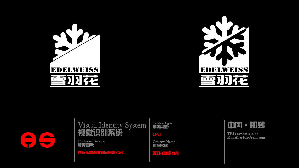 羽绒制品有限公司logo和简单vi设计第28815504号稿件