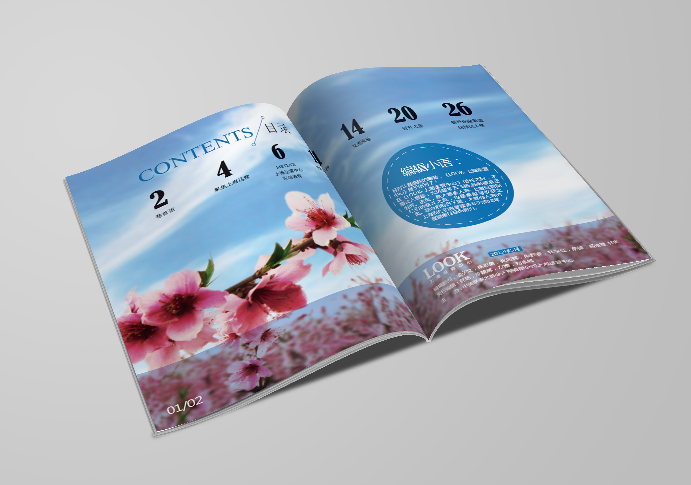 企业季度内刊封面设计(难度一般)