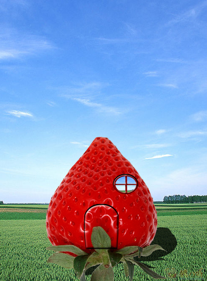 休闲水果屋(香橙)设计(建筑建模与室内渲染)